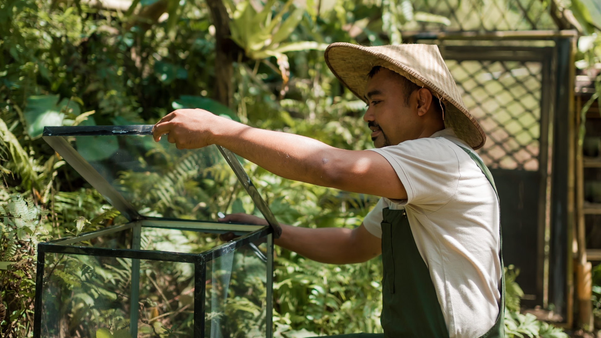 Wayan Wardika: Tackling conservation and regeneration of fireflies